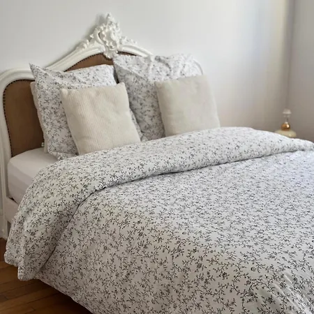 La Petite Parisienne-centre -gare -airport Appartement *